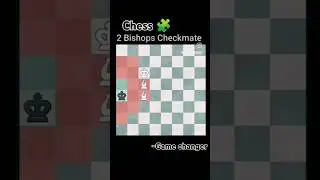Bishops show 🤙 checkmate 🧩 #chess #trending #kingvsqueen #bishop #chessgame #puzzle #shorts