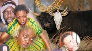 INCROYABLE regardé le djinée boeuf noir porte des Ors, capturé par Thierno Moulé SOW...