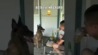 Dog daru pita hai 😂😂🤣😂😅 ll reaction of dog ll #dog #daru #shorts #facts #viral