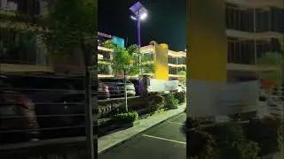Drax Hall C4 Plaza - Jamaica Night Vibes #shorts