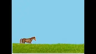 walking horse animation using html and css