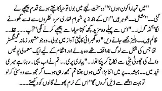Urdu Novel 