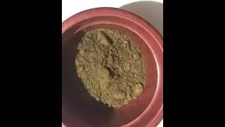 Best of Soil media For Money plant | बहुत बढ़िया Cutting Grow होंगी।