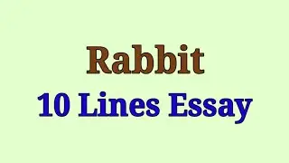 10 Lines Essay on Rabbit in English | Rabbit Essay in English