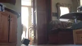 Kid falls again