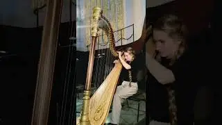 Этот инструмент продлевает жизнь #music #harp #art #theraphy #concert #opera