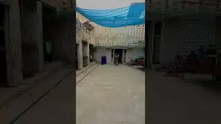 Kids Having Fun with Cricket & Wire Loop #youtubeshorts #ytshorts #memes