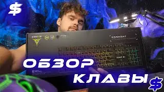 Красивая, но удобная? Обзор клавиатуры Zone 51 Adamant