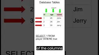 SQL WHERE Clause | SQL Interactive Tutorial Part 3