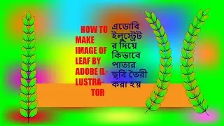 How to make image of leaf for logo by adobe illustrator Bangla tutorial
