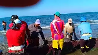 صيادين البحر العالي خير بحر بورسعيد
