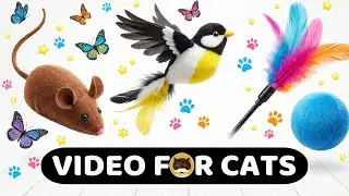 CAT GAMES - CAT TOYS! Video for Cats: Mice, Birds, Butterflies, Feather Teaser Wand, Strings. CAT TV