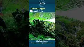 Rhythmical Breeze | High Tech Tank #aquascape #aquascapes #aquascaper #aquadesigners