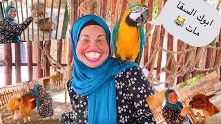 ظريفة فى حديقة الحيوانات 🐒🦍🐪🐘🦏