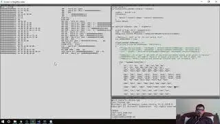 EagleFly 133 Introducing Intel XED