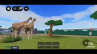 Playing the crazy zoo!!! 