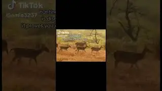 this meme is kinda old ngl