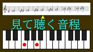 見て聴く音程