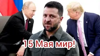 Долгожданный мир в Украине 15 мая? Тамп ускоряет мир