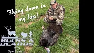 Roost hunt (Dustin tagged out)