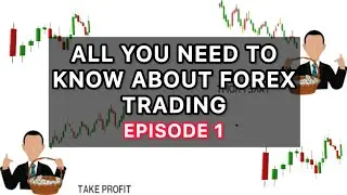 Forex Basics for Beginners: Episode 1 | How to Trade Forex and Get Started