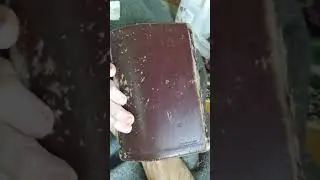 Two Bible Suggestions