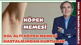 KOL ALTI K&Ouml;PEK MEMESİ HASTALIĞINDAN KURTULACAKSINIZ. #k&ouml;pekmemesi #