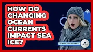 How Do Changing Ocean Currents Impact Sea Ice?