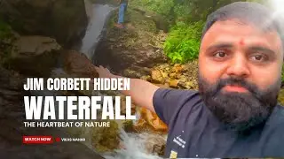 Hidden Waterfall at Jim Corbett | Jungle Vibes 🌿