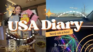 USA DENÍK #2 | NOVÝ ROK | NÁKUPY |