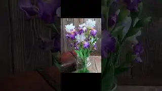 Работа по моему видео курсу. Автор: Кристина Камаева   Work on my  course. Author: Kristina Kamaeva