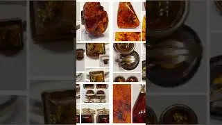 Antik Schmuck aus Bernstein #mino60art #old #shorts #history #amber #schmuck #vintage #collection