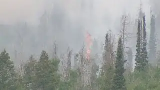 Beaver Creek Fire Update (6/23)