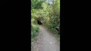 Military Reserve Trails-Boise Foothills