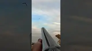 Тахталы охота голубиная охота