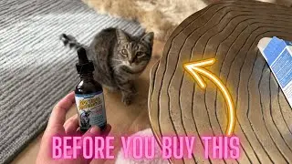 Bacon-Flavored Immune & Wellness Support for Cats-Natural Supplement Review