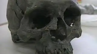 Cultura Sican/Batangrande ; Provincia Lambayeque-Peru