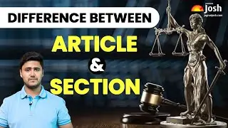 Article vs Section: What’s the Real Difference?