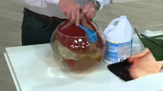 Veranda Living Indoor/Outdoor Abstract Design Reversible Rug on QVC