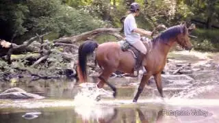 Every Maryland State Park in 5 Minutes