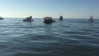 Crew boat becoming artificial reef