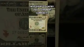 WHY EVERY COUNTRY HAS A DIFFERENT CURRENCY 💵       #money #currency #facts