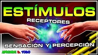 Receptores y est&iacute;mulos | los sentidos | sensaci&oacute;n y percepci&oacute;n - Biolog&iacute;a
