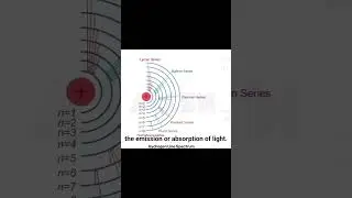 Why Electrons Don&rsquo;t Fall Into the Nucleus | Bohr&rsquo;s Atomic Model Explained | AskPrep