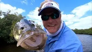 Fly Fishing for Snook in Florida Everglades National Park