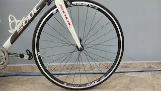 Rodas absolute wild-r