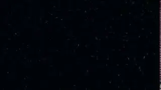 Snow falling background stock footage 1080 HD