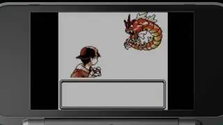 Pokemon Gold Version and Pokemon Silver Version 3DS