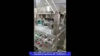 ZP 29 ZP 31 Rotary Tablet Press Machine Woking Review-Xingle Machine