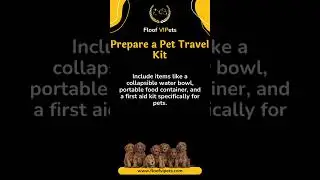 Pet Travel Hacks for a Smooth Move #PetTravel #MovingWithPets #TravelHacks #PetRelocation